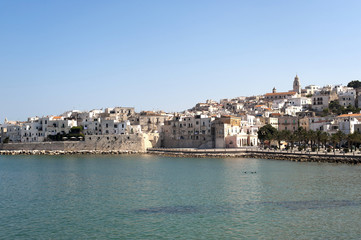 Vieste (Foggia, Gargano, Puglia, Italy) at summer