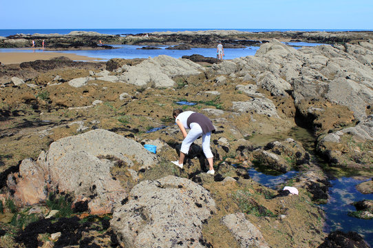 P&ecirc;che &agrave; la bernique