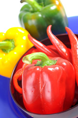 picture of multi colored paprika over white