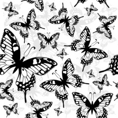 Seamless background with butterfly