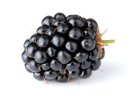 Ripe blackberry