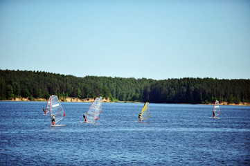 windsurfers on  sea.