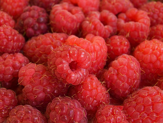 Raspberries background