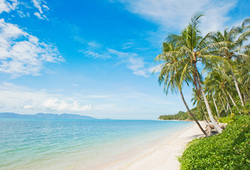 Naklejka na ściany i meble Beautiful tropical beach with coconut palm