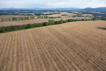 żniwa