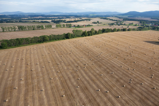 żniwa