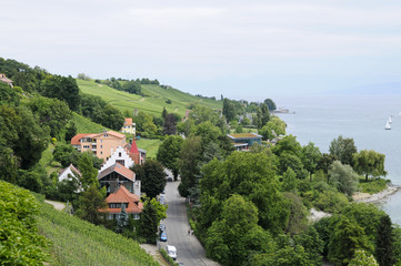 Weinberge bei Meersburg; Bodensee; Deutschland