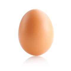 brown egg isolated on white