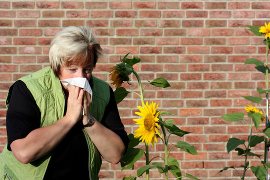 sommergrippe  -allergie