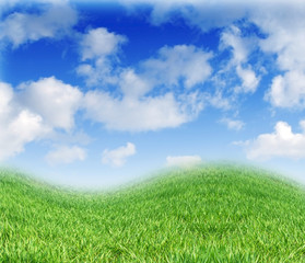 Fototapeta na wymiar background with grass and sky
