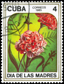 CUBA - CIRCA 1985 Carnations