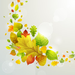 Autumn background