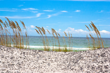 A beach off of the Emerald Coast of Florida.