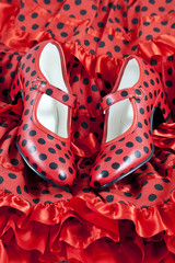 zapatos Sevillana