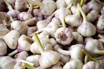 Garlic Cloves