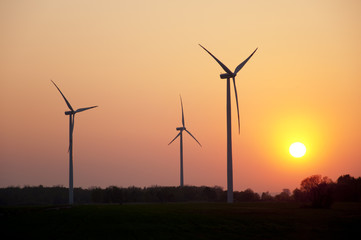 Wind farm at sunset