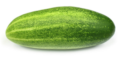 Single cucumber over white background
