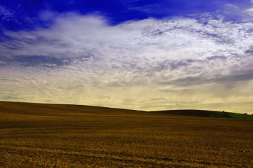 les champs moissonnés