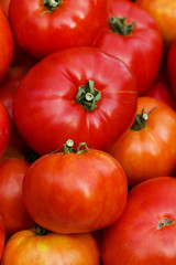 Vegetables  tomatoes  ripe
