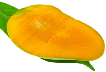 mangue tranche