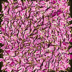 Pink flower bud background
