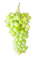 fresh grape fruits isolated on white background