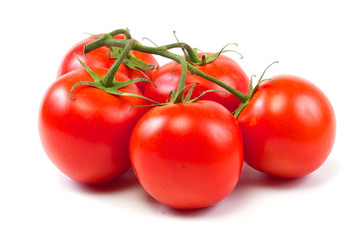 branch of tomato isolated over white background