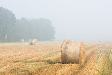 Strawbales on sunny, hazy autumn morning