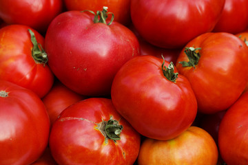 Vegetables   ripe  tomatoes