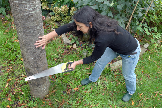 Femme sciant un arbre