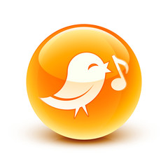 icône oiseau information / bird icon