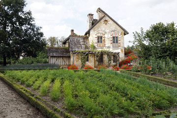 Fototapeta na wymiar Chaumière et potager du jardinier