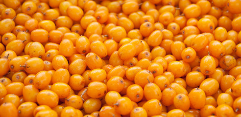 buckthorn