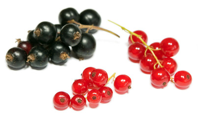 Currant fruits