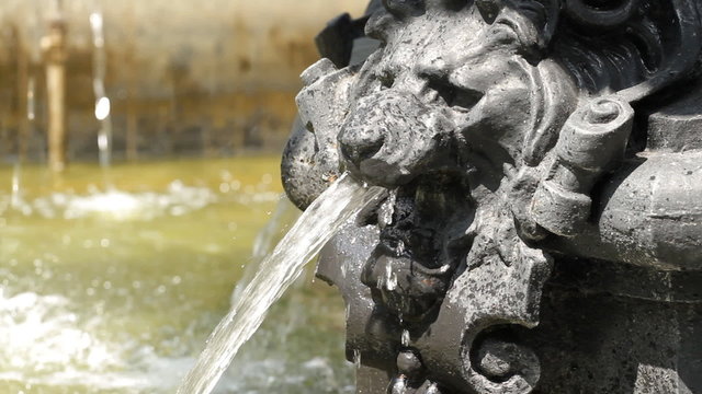 Fountain with  head of Leo, Kyiv