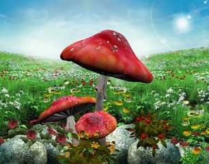 Radura estiva con funghi © EllerslieArt