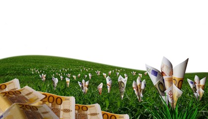 Investissement et succès.