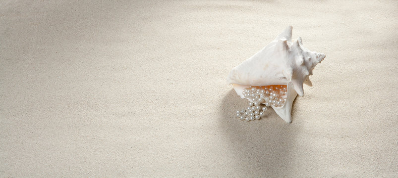 beach sand pearl necklace shell summer vacation