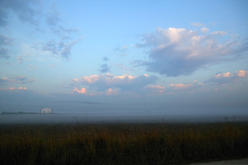 Fototapeta premium foggy meadow landscape gray winter fog