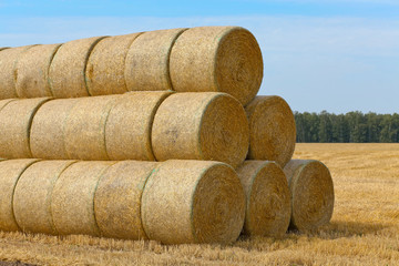 light golden haystack on the meadow