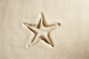 Fototapeta na wymiar rozgwiazdy Karaiby plaża print biały piasek, lato