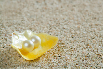 Fototapeta na wymiar piasek plaży perła na żółtym latem powłoki tropikalnych