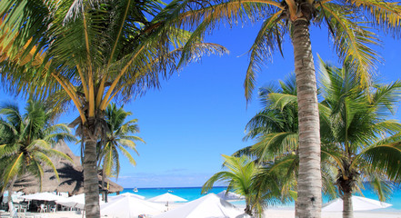 Fototapeta na wymiar caribbean tropical beach white parasol coconut palm