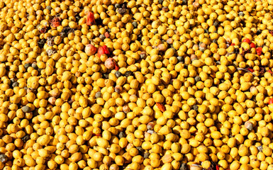 lemons backgrounds