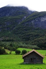 Norwegian wooden house