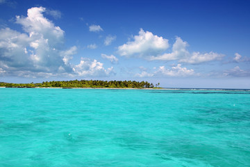 Contoy island palm beach Mexico nature reserve