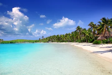 Deurstickers Contoy Island palmbomenl Caraïbisch strand Mexico © lunamarina