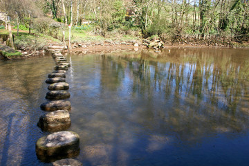 stepping stones