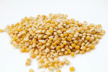 Foto op Plexiglas grains de maïs © aline caldwell