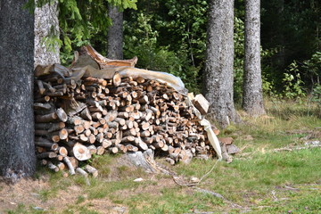 Holz © ernstboese
